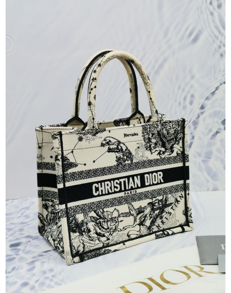 Dior book hotsell tote sale